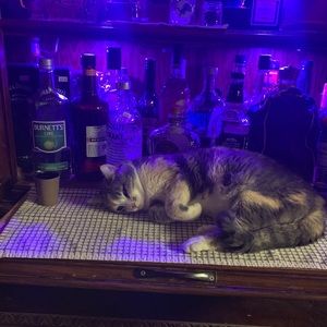 Meet your Posher, Audrey